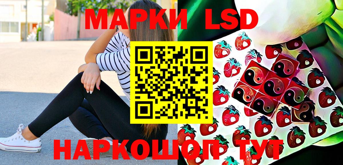 Наркотические марки 1500мкг  Вход с VPN  Камышин  Наркотические марки 1500мкг 